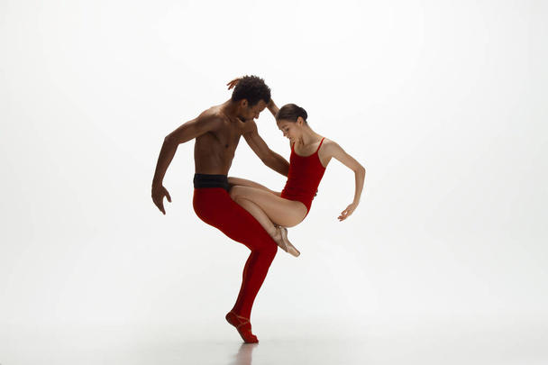 Young graceful couple of ballet dancers dancing on white studio background - Photo, image