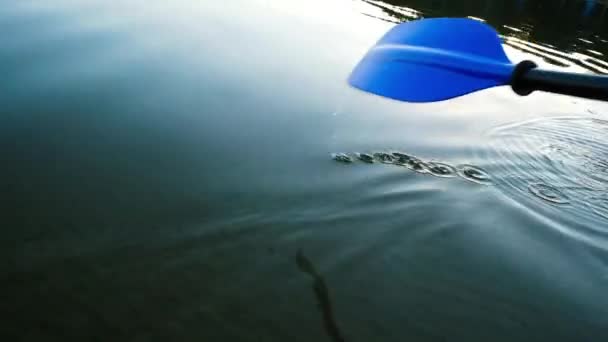  Mavi kürek temiz, sakin suda yavaşça hareket eder. Ukrayna'da gölde gün doğumu. - Video, Çekim