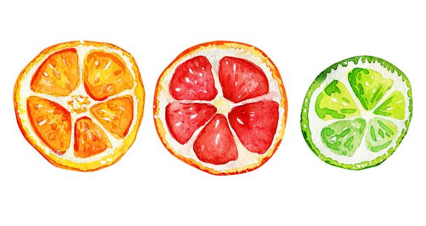 Izolované plátky pomerančů, grapefruitu a vápna. - Fotografie, Obrázek