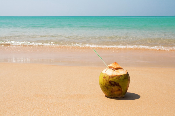 Coconut on the beach - 写真・画像