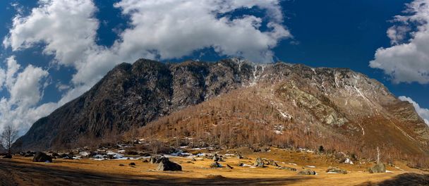 Rusland. berg Altai. De vallei van de Chulyshman River in het hart van het dorp Balykcha. - Foto, afbeelding