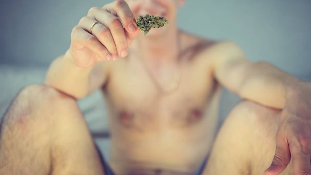 El joven tiene brotes de marihuana medicinal en la mano.
. - Foto, imagen