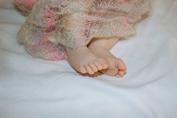 feet, feet of a newborn baby in a down knitted blanket closeup top view on white background - Foto, Imagen
