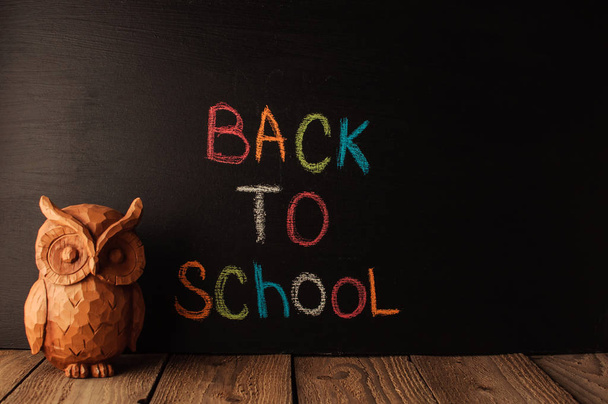 Back to school, the concept of parenting. Owl on a wooden table. The inscription on the slate color chalk. School supplies, rustic.    - Foto, Bild