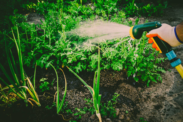 Watering the garden - Fotó, kép