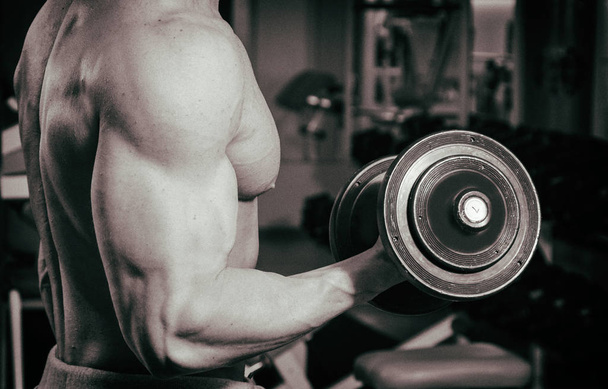 bíceps grandes com halteres
 - Foto, Imagem