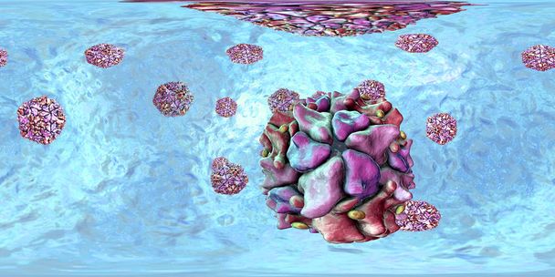 Poliovirussen, 360 graden sferisch panoramabeeld - Foto, afbeelding