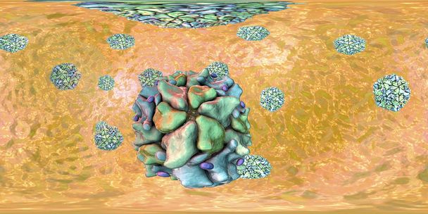 Poliovvírusok, 360 fok gömb panoráma nézet - Fotó, kép