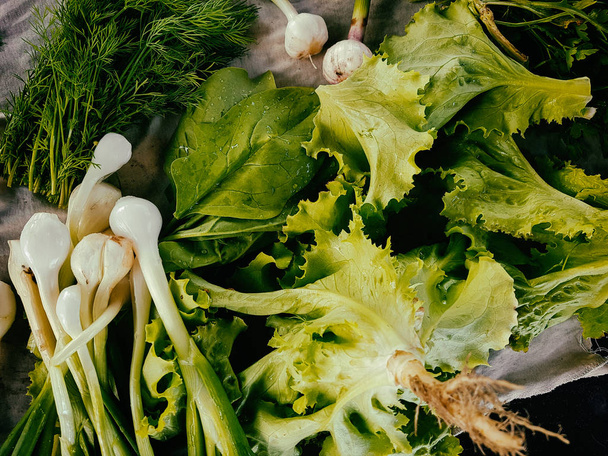 Ensalada verde fresca y cebolla
 - Foto, Imagen