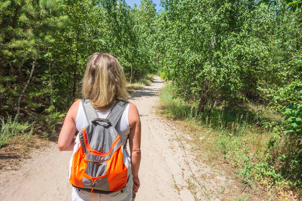 Closeup of woman with backpack on trailway in fir and pine trees - Foto, Bild