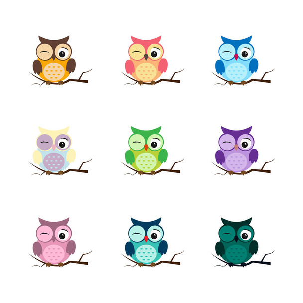Group of birds. Owls night birds with big eyes. Colorful illustration - Vector, Image