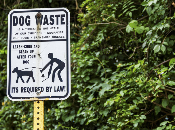 Opruimen na uw hond straatnaambord - Foto, afbeelding