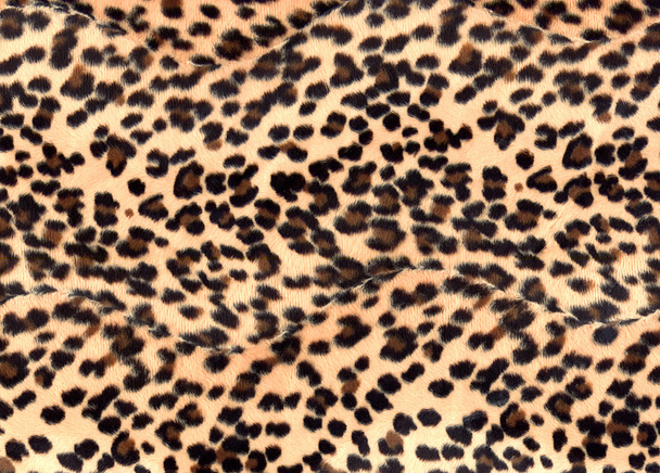 Impresión de leopardo
 - Foto, imagen