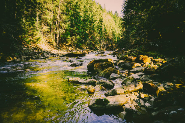 Magnífico río de montaña y paisaje forestal
 - Foto, imagen