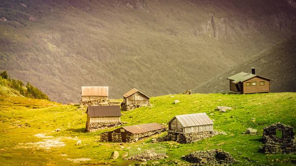Norwegian mountains summer farm - Zdjęcie, obraz