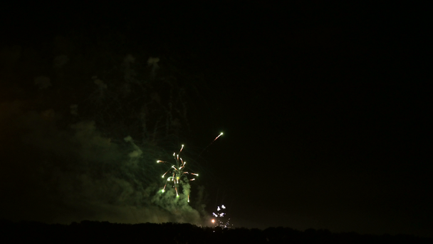 Olśniewające fajerwerki na dużą skalę z jasnymi światłami nad horyzontem. Kamera na żywo - Materiał filmowy, wideo