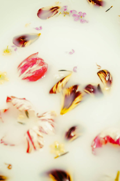 Flowers in a bath with milk - Photo, Image