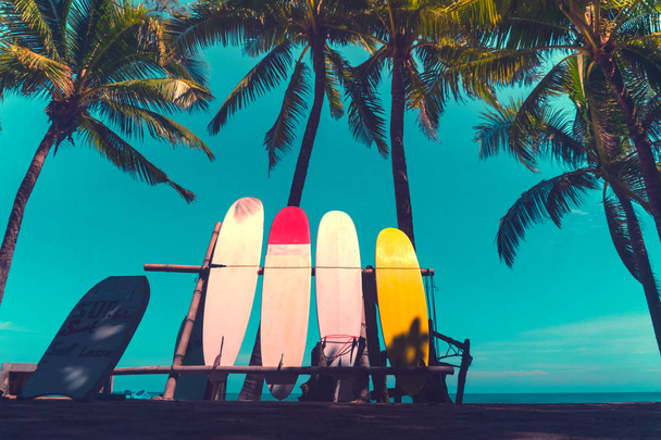 Sok szörfdeszka mellett kókuszpálmák nyári strand napfény és kék ég háttér. - Fotó, kép