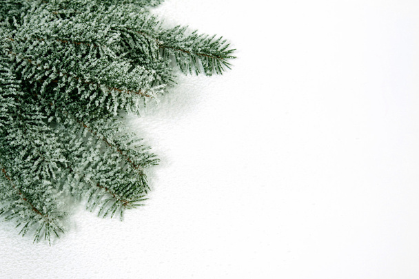 Vánoční dekorace - Fotografie, Obrázek