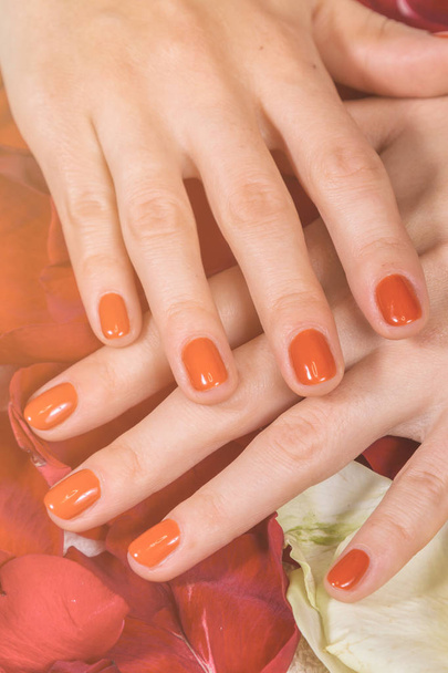Руки с красными ногтями на лепестках роз
 - Фото, изображение