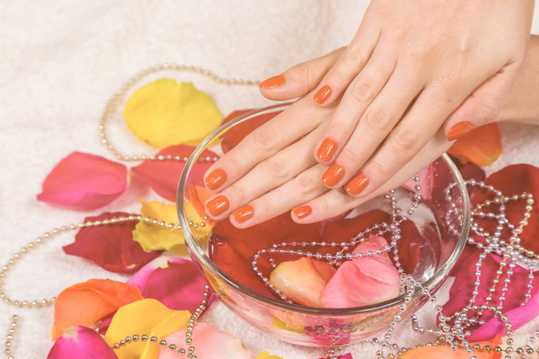 mani con unghie rosse su ciotola petali di rosa
 - Foto, immagini