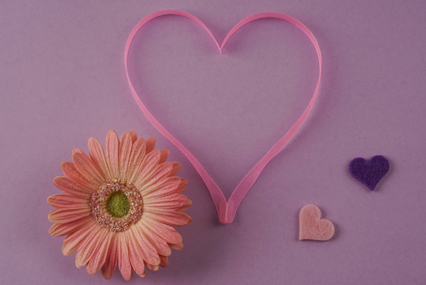 pink ribbon heart and gerbera daisy on purple background - Photo, Image