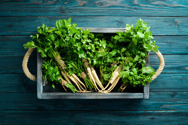 Root parsley on a wooden background. Top view. Free space for your text. - Φωτογραφία, εικόνα