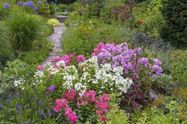 Όμορφος κήπος το καλοκαίρι, με ανθισμένα λουλούδια - Φωτογραφία, εικόνα