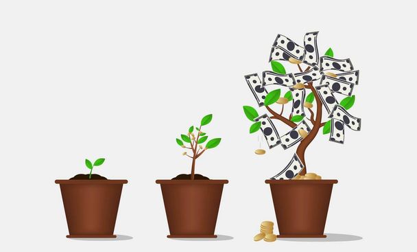 Money tree . Invest concept . Finance growth illustration. - Vector, Image