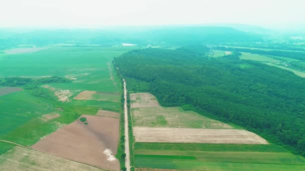 Lucht drone vliegt over landbouwgronden en huizen. 4k. - Video