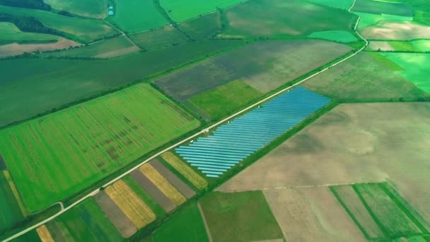Yeşil alanlarda büyük güneş çiftliğinin havadan drone görünümü. Zoom. 4k. - Video, Çekim