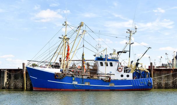 北フリジアのブエスム港（ドイツ）での漁船) - 写真・画像