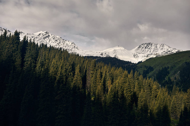 Beautiful landscape of mountains - Fotografie, Obrázek