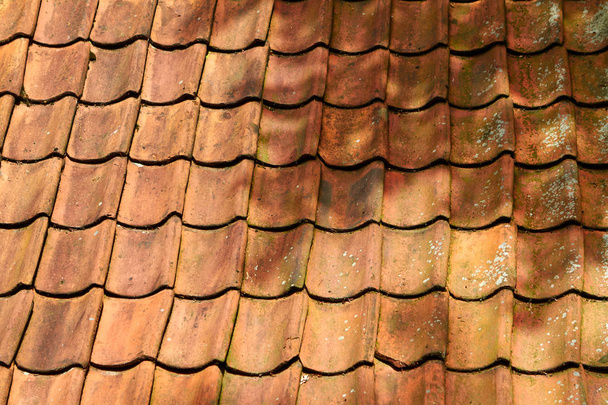 Orange agyaglapok a tetőn. Hollandia, July - Fotó, kép