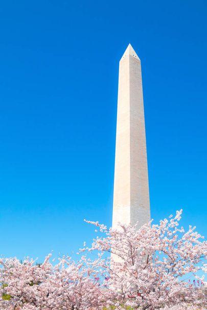 Washington, DC, USA-1 kwietnia 2019: Pomnik Waszyngtona, podczas - Zdjęcie, obraz