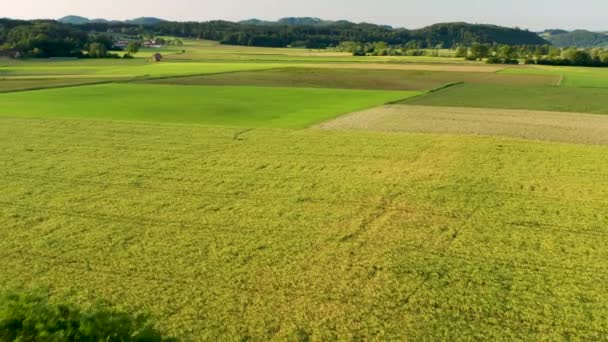 Rivelando vista aerea del paesaggio rurale con fienile sotto un grande albero, circondato da campi e prati
 - Filmati, video
