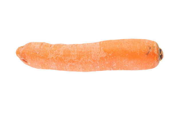 One orange raw washed carrot isolated on white background - Photo, image
