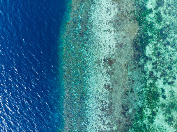 Aerial top down coral reef tropical caribbean sea, turquoise blue water. Indonesia Wakatobi archipelago, marine national park, tourist diving boat travel destination - Fotoğraf, Görsel