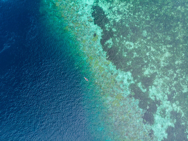 Εναέρια κορυφή προς τα κάτω οι άνθρωποι snorkeling σε κοραλλιογενή ύφαλο τροπική Καραϊβική θάλασσα, τυρκουάζ μπλε νερό. Ινδονησία Wakatobi αρχιπέλαγος, θαλάσσιο πάρκο, τουριστική κατάδυση ταξιδιωτικός προορισμός - Φωτογραφία, εικόνα