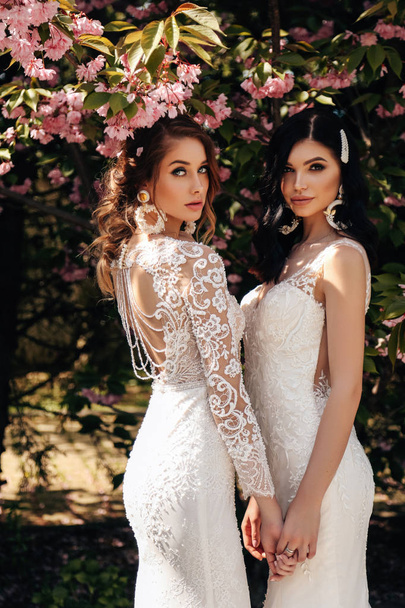 beautiful women in luxurious wedding dresses with accessories po - Фото, зображення