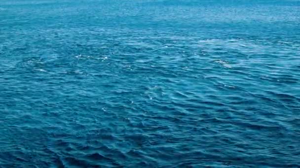Γαλάζιος Ειρηνικός στροβιλίζει το νερό του ωκεανού στο Κάμπο Σαν Λούκας Μεξικού - Πλάνα, βίντεο