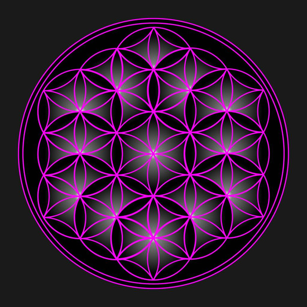 Ιερή γεωμετρία-λουλούδι της ζωής, μωβ μοτίβο-διανυσματική απεικόνιση - Διάνυσμα, εικόνα