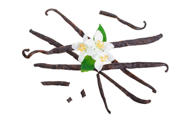 Vanille sticks met bloem en blad geïsoleerd op een witte achtergrond. Bovenaanzicht. Plat leggen - Foto, afbeelding
