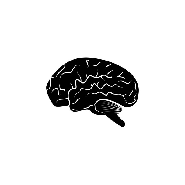 human brain icon. Element of body parts icon. Premium quality graphic design icon. Signs and symbols collection icon for websites, web design, mobile app - Vector, Image