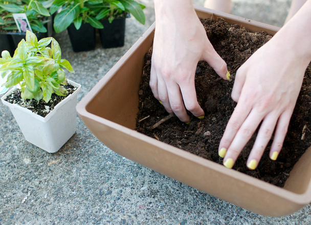ruce namíchat výsadbě půdy v čtvercový květináč - Fotografie, Obrázek