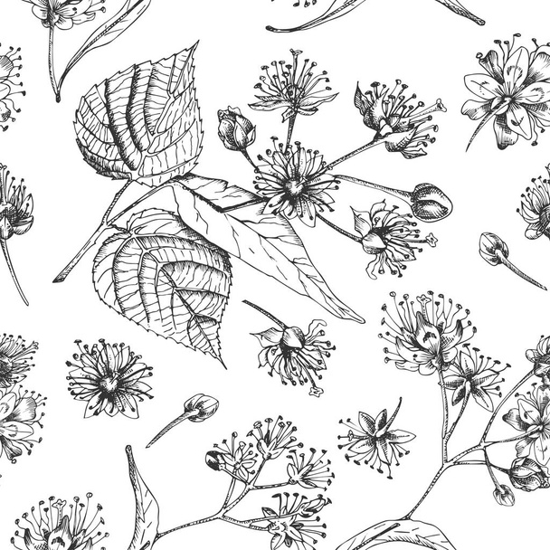 Linden blossom hand drawn seamless pattern with flower, lives and branch in black color on white background. Retro vintage graphic design Botanical sketch drawing - Vetor, Imagem