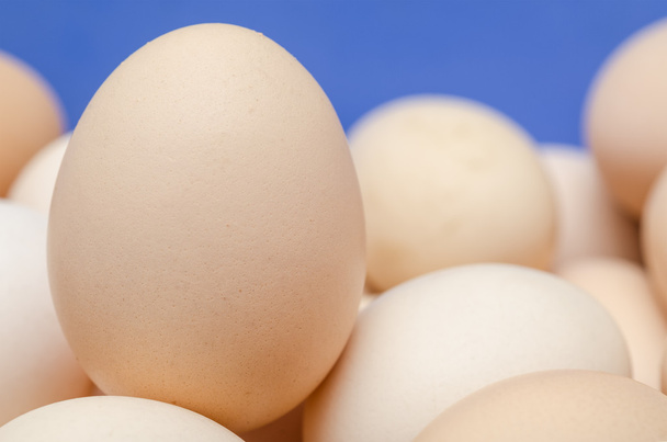 Uovo di pollo da vicino
 - Foto, immagini