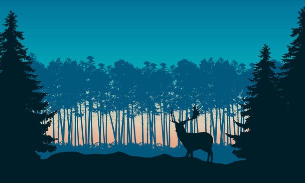 Realistic illustration of landscape with coniferous forest and morning blue sky with rising sun. Deer with antlers standing. Suitable as advertising for hunting or nature - vector - Vector, Image