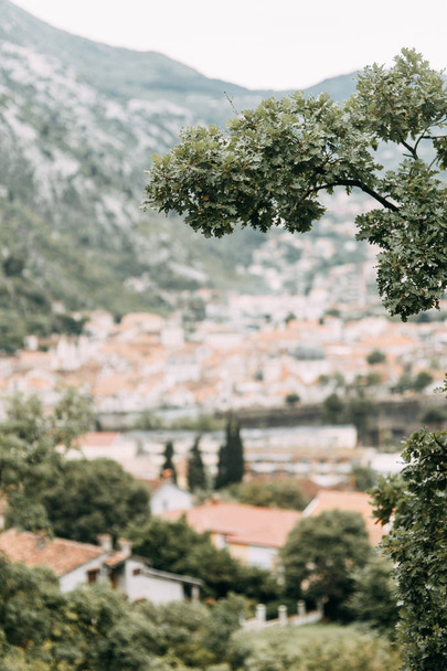  Sights of Montenegro and streets. Panorama of the Bay of Kotor and the old town. - 写真・画像