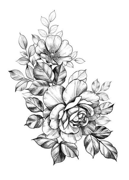 Hand drawn Floral Decoration with Rose Flowers - Zdjęcie, obraz